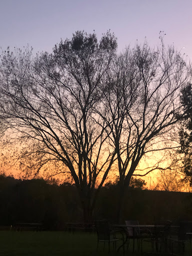 Vineyard «Noboleis Vineyards», reviews and photos, 100 Hemsath Rd, Augusta, MO 63332, USA