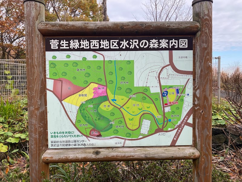菅生緑地 西地区 水沢の森