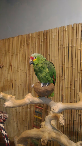 Aquarium «SeaQuest Interactive Aquarium», reviews and photos, 1201 N Hill Field Rd #1072, Layton, UT 84041, USA