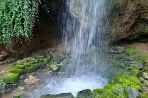 Водопад Бучалото image