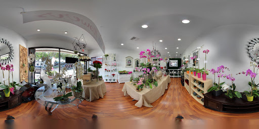 Florist «The Orchid House», reviews and photos, 2265 Coral Way, Miami, FL 33145, USA