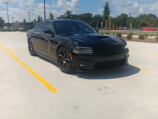 Pet Supply Store «Petco Animal Supplies», reviews and photos, 14609 Airline Hwy Ste 104, Gonzales, LA 70737, USA