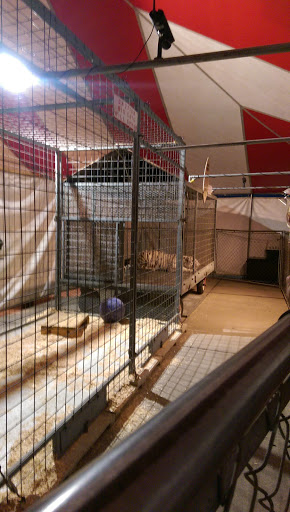 Outlet Store «Sikeston Factory Outlet Stores», reviews and photos, 100 Outlet Dr, Sikeston, MO 63801, USA