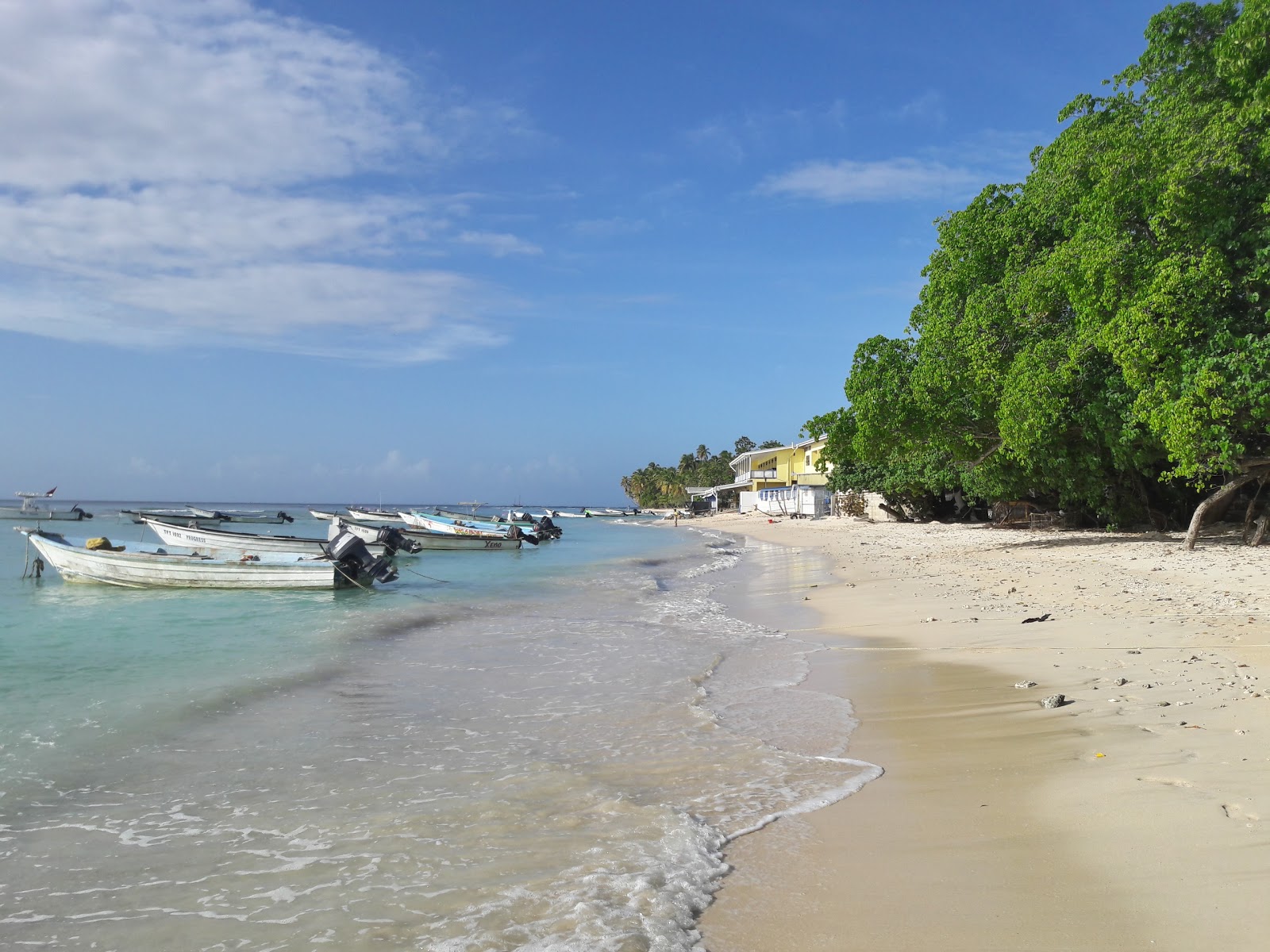 Foto de Playa de Pigeon Point ubicado en área natural