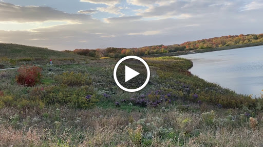 Nature Preserve «Meacham Forest Preserve», reviews and photos, Circle Ave, Bloomingdale, IL 60108, USA