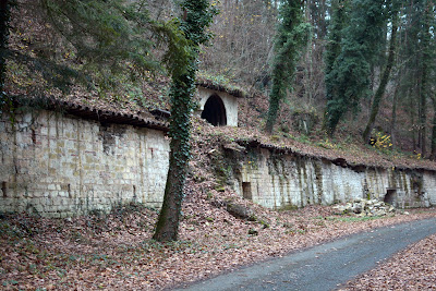 Bois de la Gruerie à Vienne-le-Château