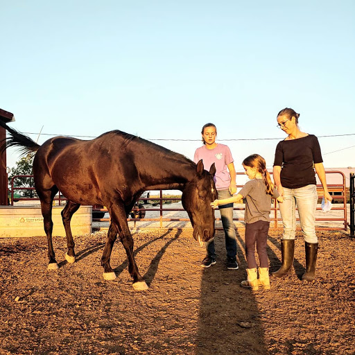 Therapeion Therapeutic Riding Center, Inc.