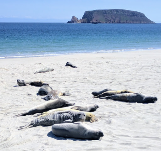 National Park «Channel Islands National Park», reviews and photos