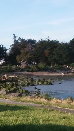 Nature Preserve «Shorebird Park Nature Center», reviews and photos, 160 University Ave, Berkeley, CA 94710, USA