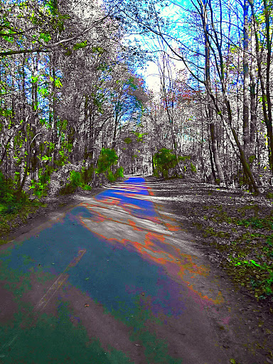 Bicycle Rental Service «Silver Comet Cycles», reviews and photos, 4342 Floyd Rd SW, Mableton, GA 30126, USA