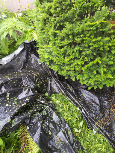 Event Venue «Van Dusen Mansion & Event Center», reviews and photos, 1900 Lasalle Ave, Minneapolis, MN 55403, USA