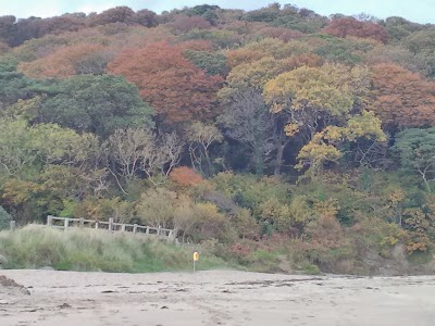 Photos of Old Head Beach