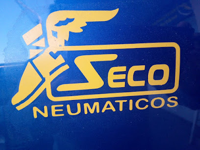Seco Neumaticos Representante Good Year