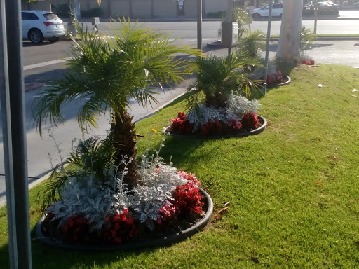 Mexican Restaurant «El Pollo Loco», reviews and photos, 3502 W Cerritos Ave, Los Alamitos, CA 90720, USA