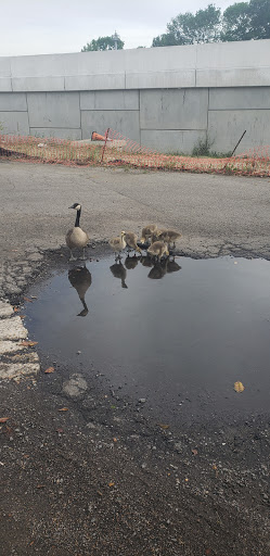 Hotel «Courtyard by Marriott Virginia Beach Norfolk», reviews and photos, 5700 Greenwich Rd, Virginia Beach, VA 23462, USA
