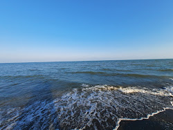 Foto di Safir Omid beach area servizi