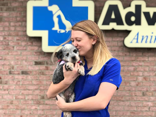 Advanced Animal Care