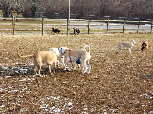 Dog Park «South Kingstown Dog Park», reviews and photos, 55 St Dominic Rd, South Kingstown, RI 02879, USA