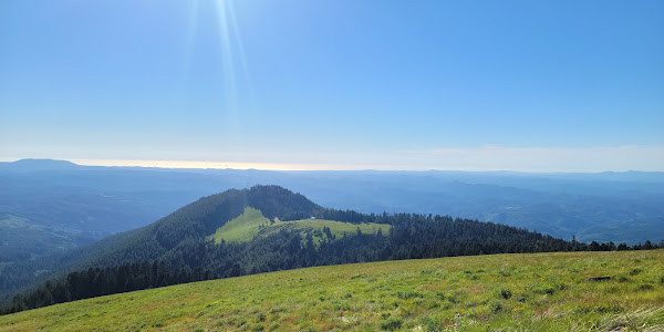 Marys Peak Day Use