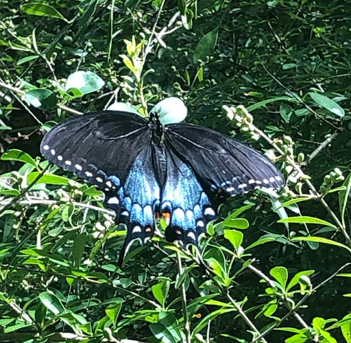 Park «Town Center Park», reviews and photos, 356 E Tripp Rd, Sunnyvale, TX 75182, USA