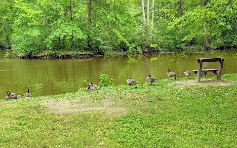 Bradley Woods Reservation image