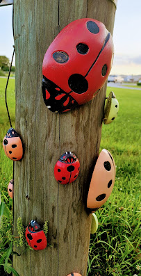 The Notary Bug, Mobile Notary Services - Photo 4 - Car repair in Lafayette, LA, Lafayette