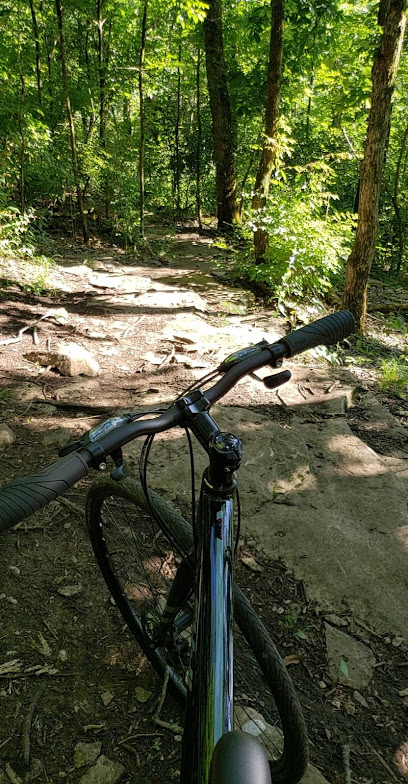 Franklin Mountain Bike Trail