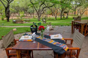 Pioneer Lodge, Camp and Safaris image