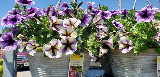 Gift Shop «Beatline Nursery, Garden Center & Gifts», reviews and photos, 7091 Beatline Rd, Long Beach, MS 39560, USA