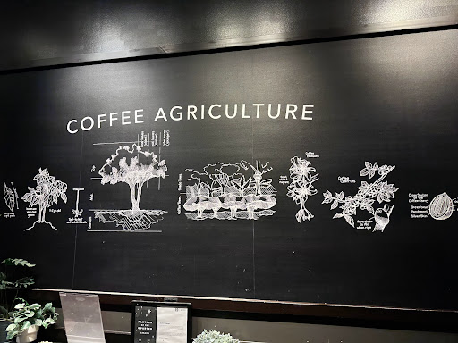 Starbucks image
