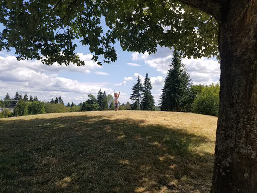 Park «132nd Square Park», reviews and photos, 13159 132nd Ave NE, Kirkland, WA 98034, USA