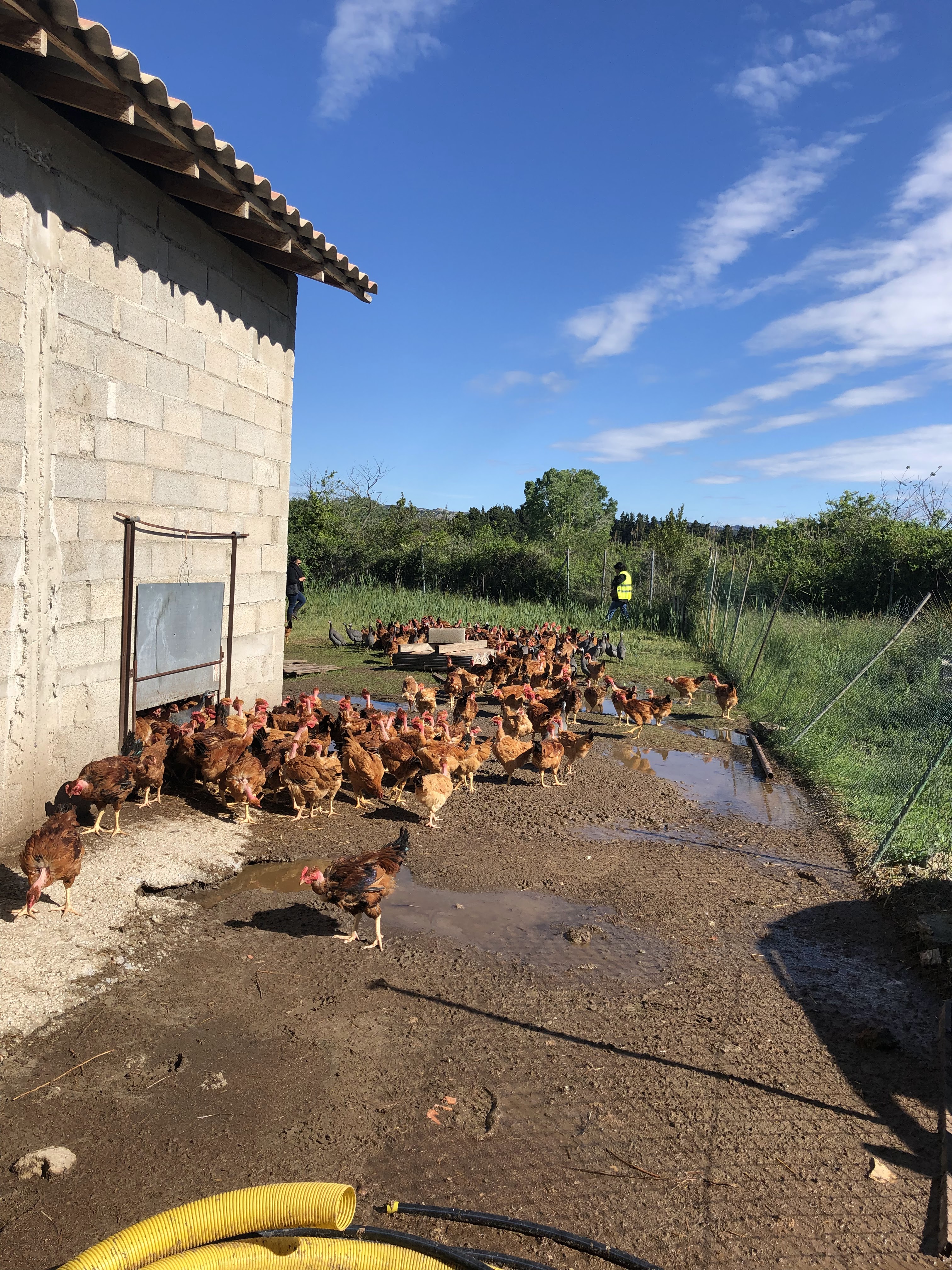 Photo n° 1 de l'avis de Valerie.o fait le 29/04/2019 à 20:55
