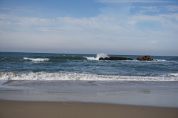 Laguna Creek Beach'in fotoğrafı vahşi alan