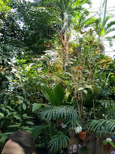 Gift Shop «Meijer Gardens Gift Shop», reviews and photos, 1000 E Beltline Ave NE, Grand Rapids, MI 49525, USA