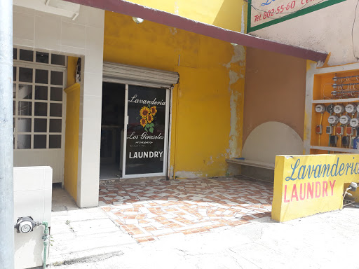 Lavanderia Girasoles