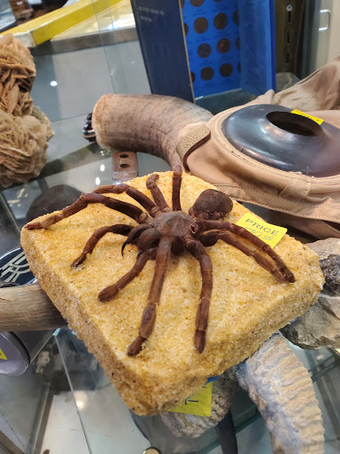 Pawn Shop «Mr Pawn», reviews and photos, 1910 Lake St S, Forest Lake, MN 55025, USA