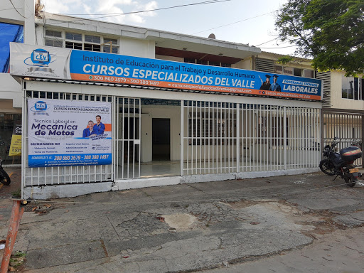 Colegio Nuevo Milenio Bachillerato acelerado Cali