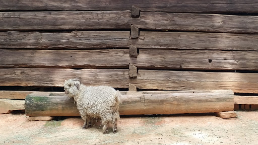 Museum «Atlanta History Center», reviews and photos, 130 West Paces Ferry Rd NW, Atlanta, GA 30305, USA