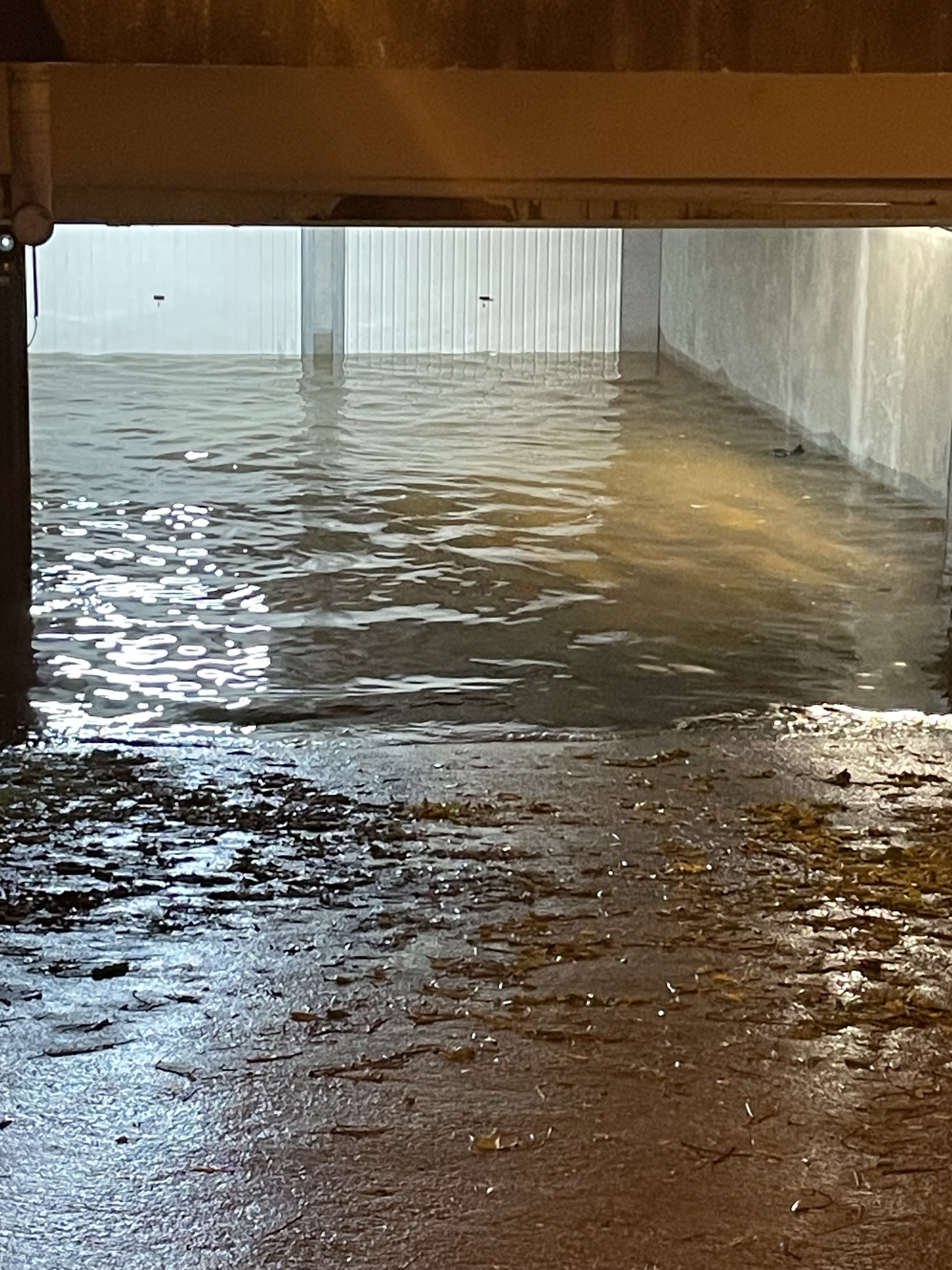 Photo n° 2 de l'avis de Wendy.e fait le 07/11/2023 à 14:11