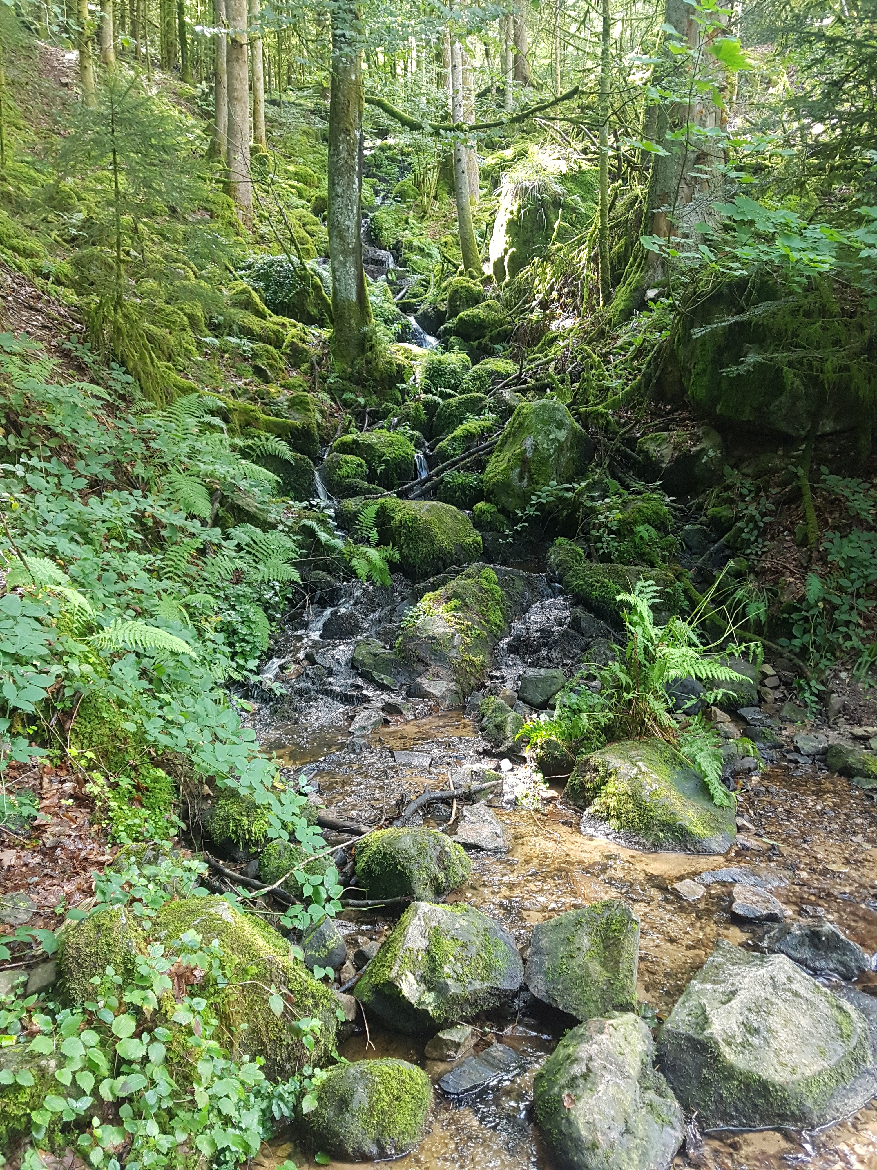Photo n° 3 de l'avis de melanie_et.c fait le 12/08/2019 à 14:24