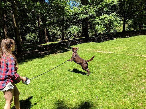 Park «Creston Park», reviews and photos, SE 44th Ave & Powell Blvd, Portland, OR 97206, USA