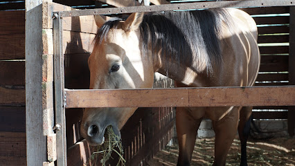Rancho Bonito Amanecer - Fundación Oaxaqueña de Equinoterapia - Escuela de Equitación Oaxaca