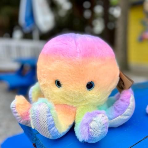 Toy Store «Kidz for Life Toys and Games», reviews and photos, 147 Lighthouse Rd, Hilton Head Island, SC 29928, USA