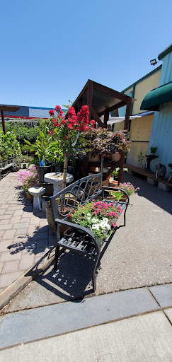 Hardware Store «Payless Hardware, Rockery and Nursery», reviews and photos, 2927 King Rd, San Jose, CA 95122, USA