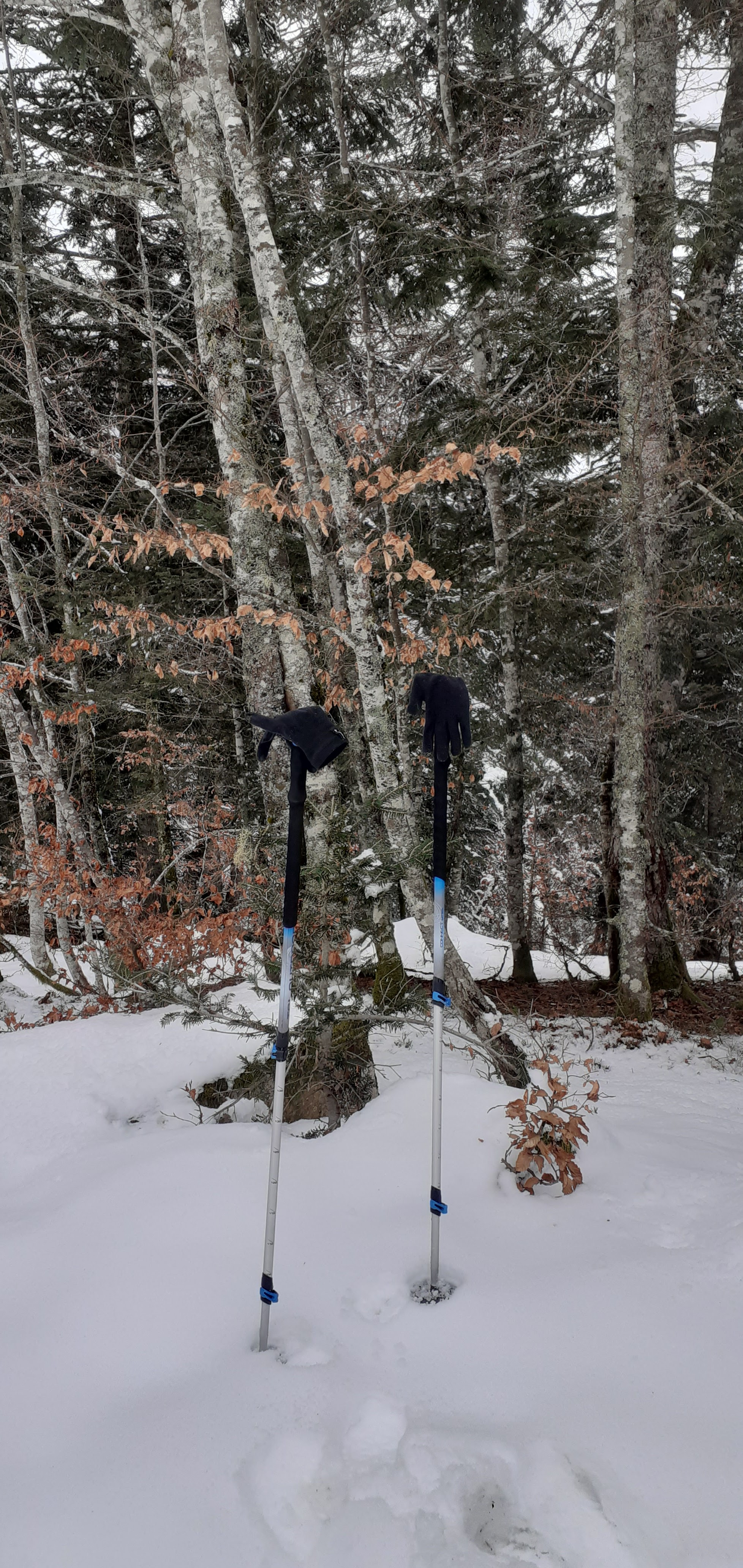 Photo n° 6 de l'avis de Les.e fait le 25/02/2023 à 20:33