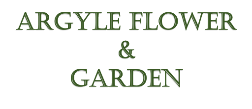 Plant Nursery «Argyle Flower & Garden Ltd», reviews and photos, 185 W Main St, Babylon, NY 11702, USA