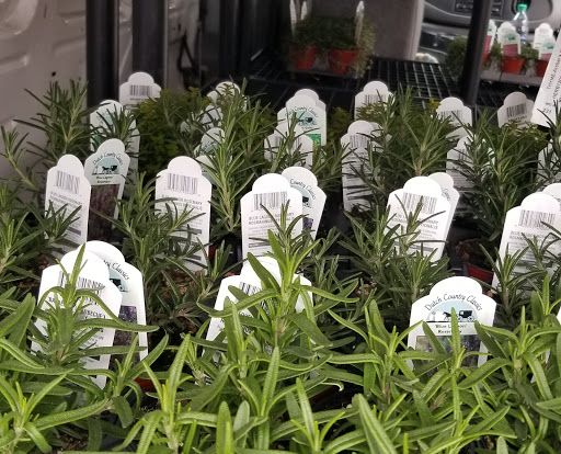 Florist «The Garden Path Gifts and Flowers», reviews and photos, 3810 Walnut St, Harrisburg, PA 17109, USA