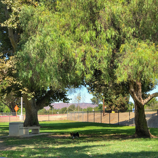 Corona Dog Park