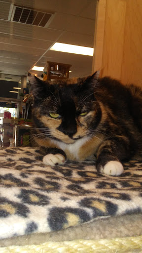 Pet Supply Store «Pet Loft», reviews and photos, 6333 SW Macadam Ave #104, Portland, OR 97239, USA