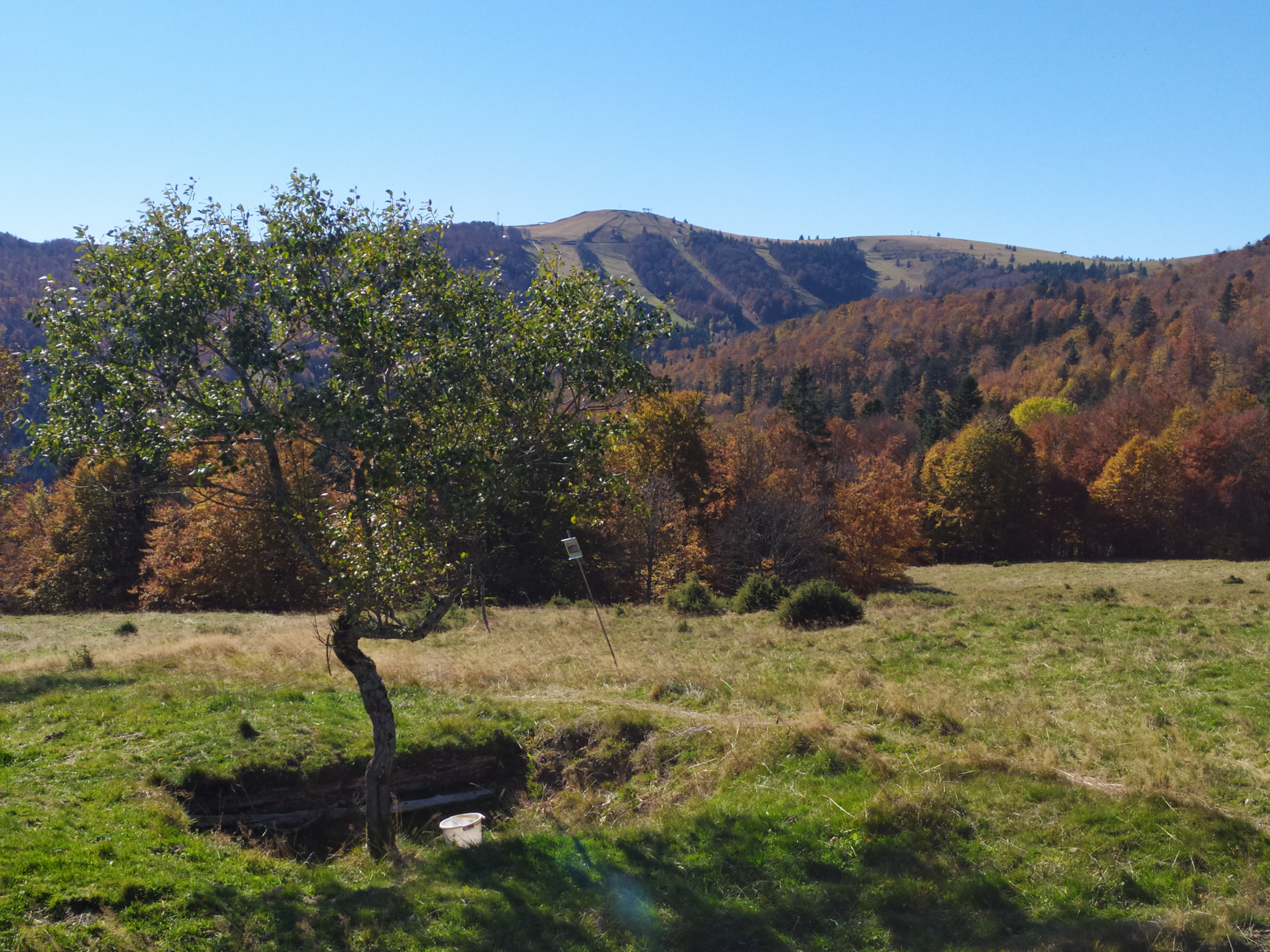 Photo n° 1 de l'avis de Eric.o fait le 07/11/2021 à 14:17